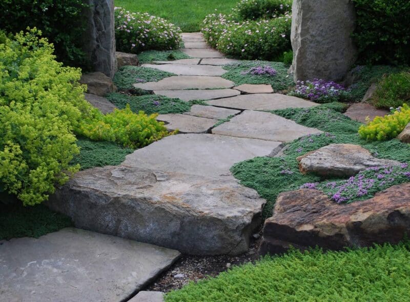 Beautiful natural stone path winds among native plants