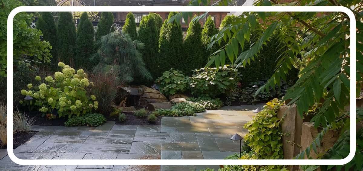 backyard privacy landscape