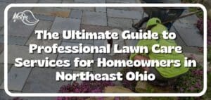 professional lawn care article title