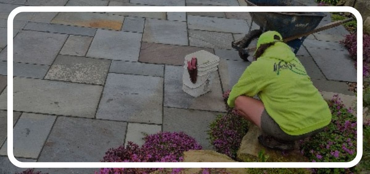 Professional lawn care