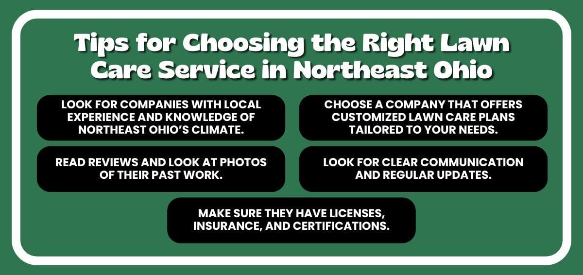 tips for choosing a landscaper