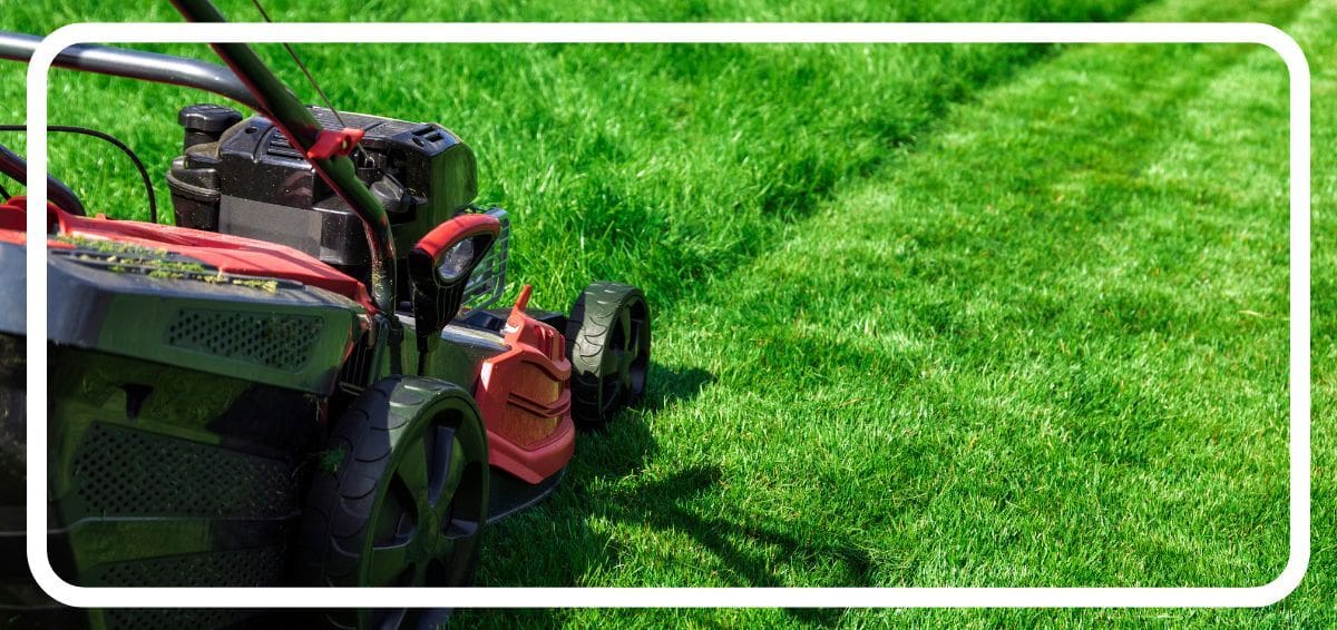 Mowing the lawn