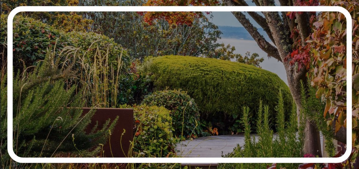 garden in the fall