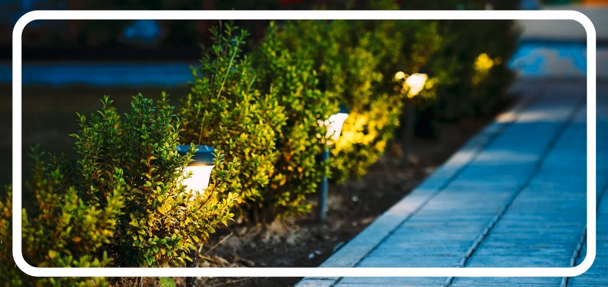garden path with motion sensor lighting