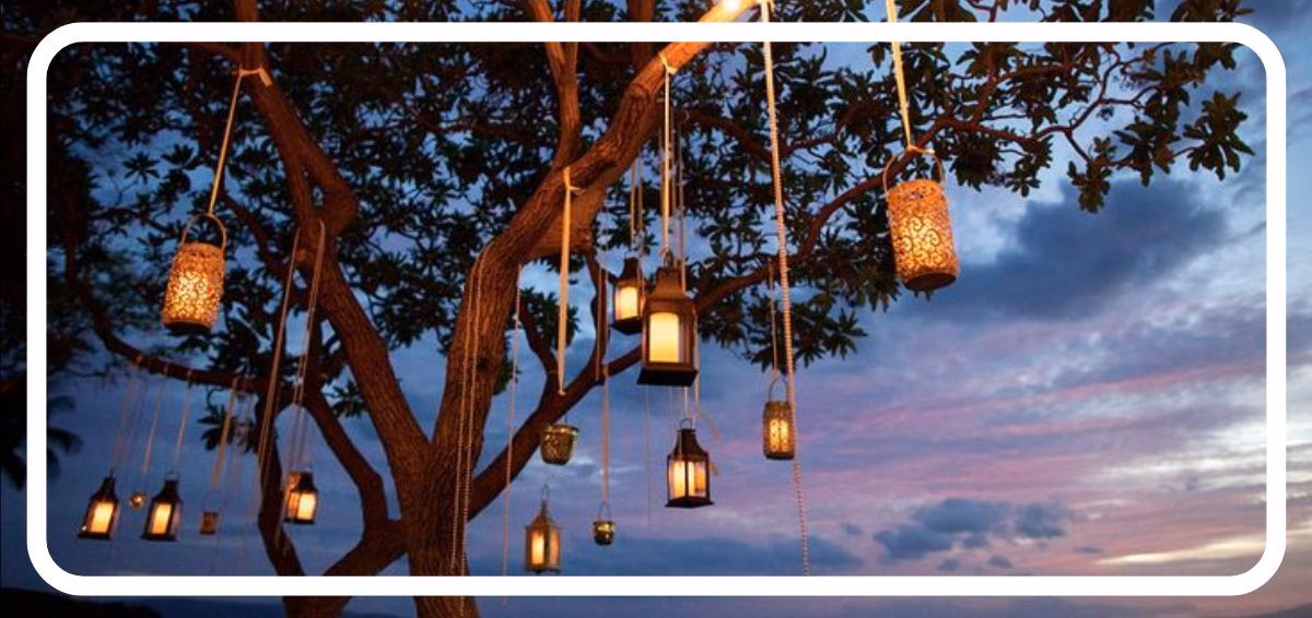 lanterns hanging from trees