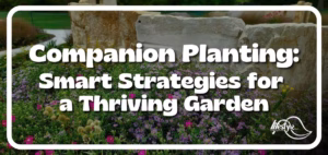 image of garden with stone feature behind article's title