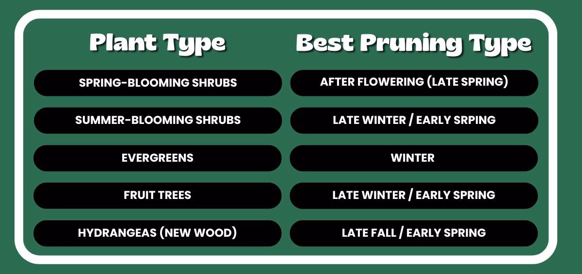 Plant pruning chart