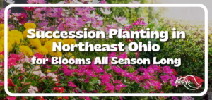 garden in bloom with article title