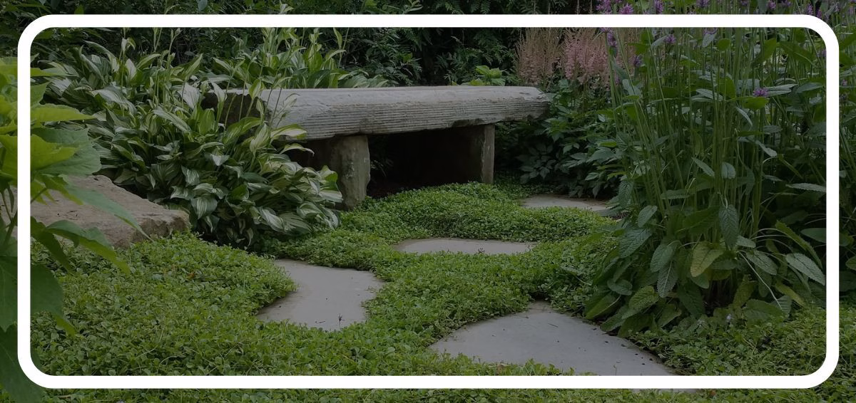 backyard garden