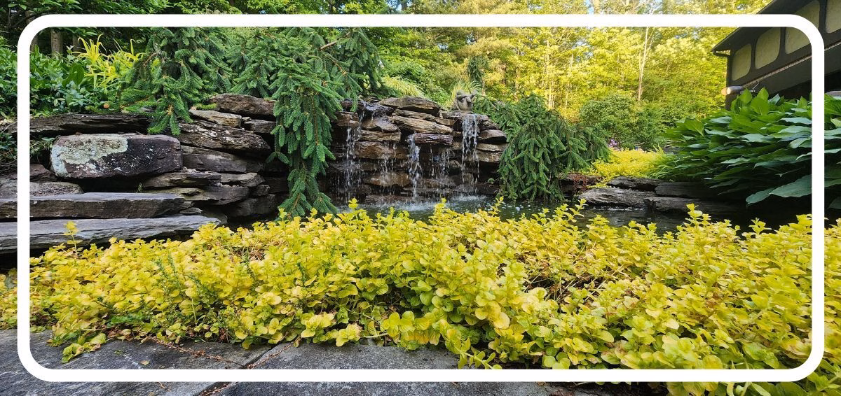 Garden with stone water feature