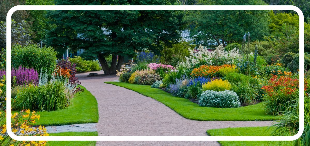 Landscape designer no text walkway with landscaping