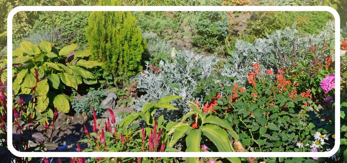 landscaped garden Landscaped garden