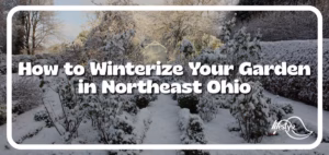 Winter garden with article title overlaid