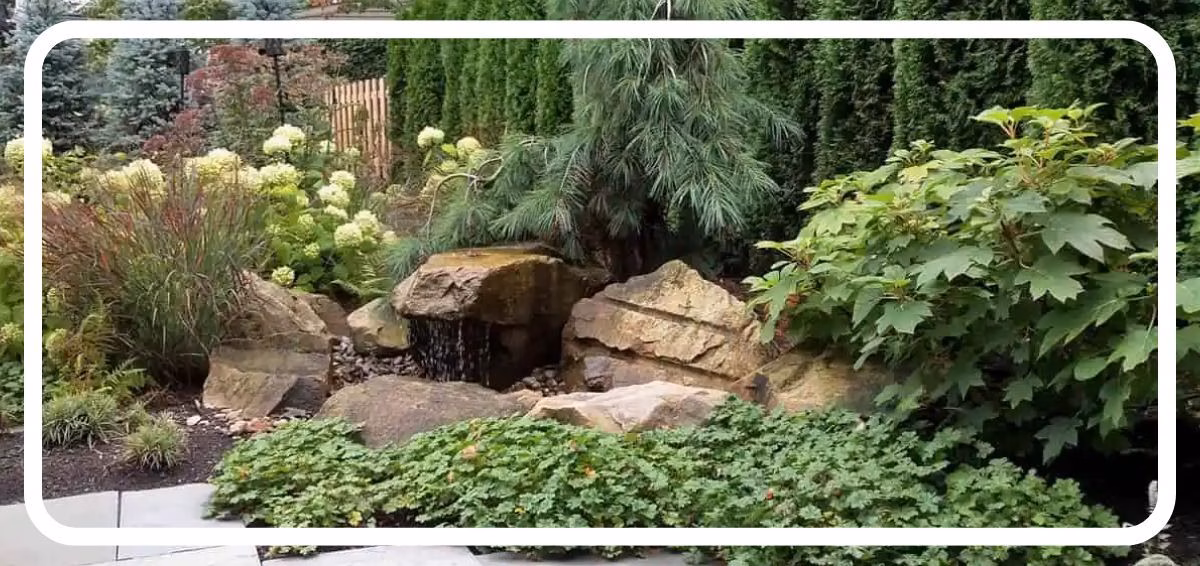 garden with stone
