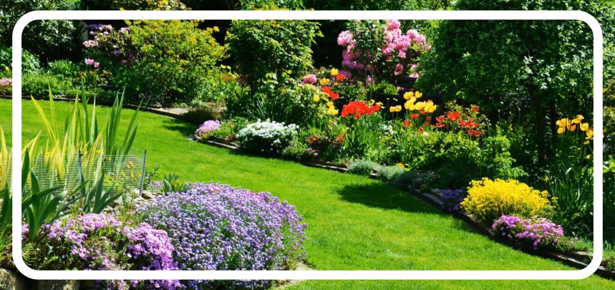 summer garden
