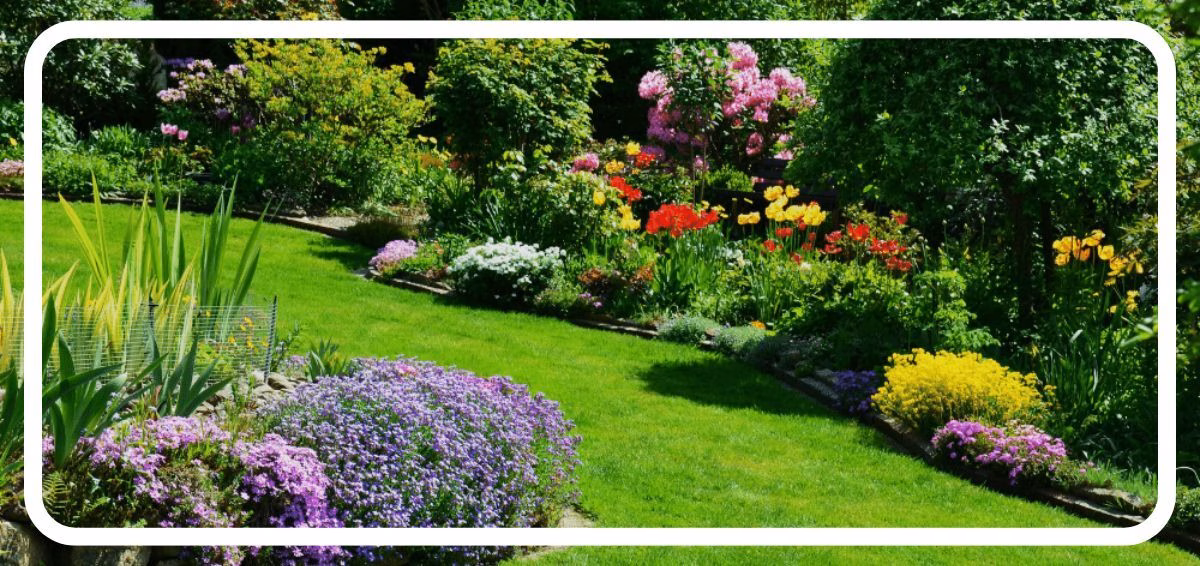 landscaped yard