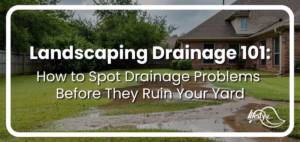 picture of flooded lawn with article title overlaid