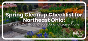 spring cleanup checklist article title image
