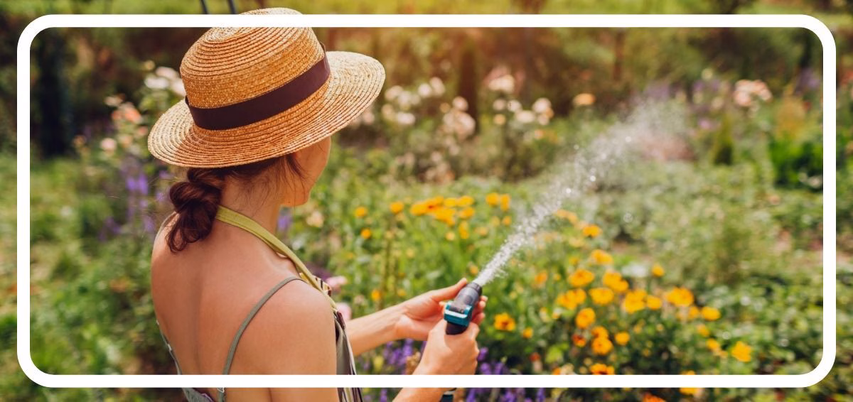 woman watering a flowering spring garden