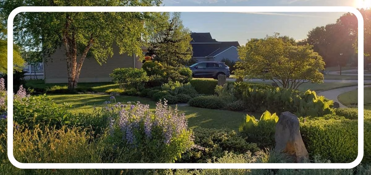 landscaped front yard