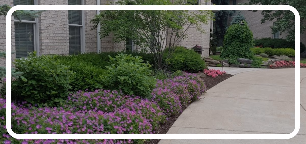 front landscaping in bloom