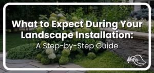 photo of hydrangeas blooming behind article title text