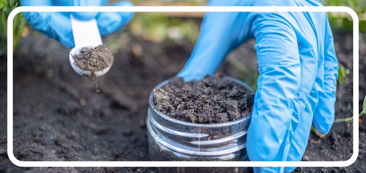 soil testing