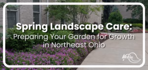 Spring landscape with article title overlaid