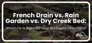 picture of dry creek bed with article title overlaid