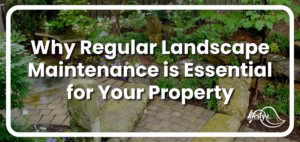 Well-maintained hardscape with article title overlaid